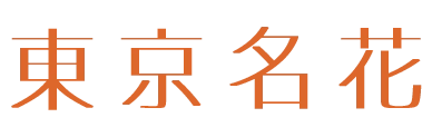 高級デリヘル東京名花